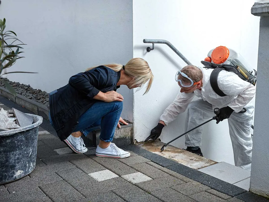 Schädlingsbekämpfung