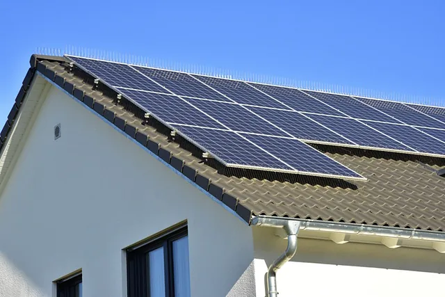 Zur Taubenabwehr in Bremen werden Taubenspikes auf der Photovoltaikanlage angebracht.